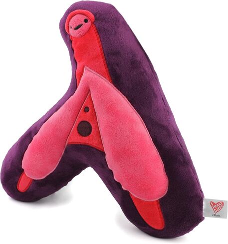 I Heart Guts 3D Clitoris 3D Model Plushie - Funny Health Class Anatomy Pillow Gynecology Pelvic Floor Educational Anatomical Toy in Saudi Arabia