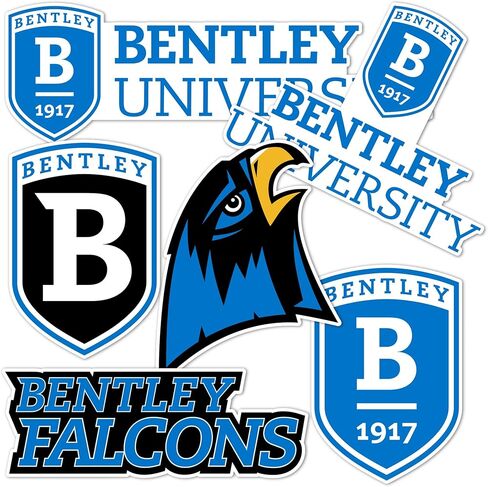 Desert Cactus Bentley University Sticker Falcons Vinyl Decals Laptop Water Bottle Car Scrapbook T2 (Type 2-1) in Saudi Arabia