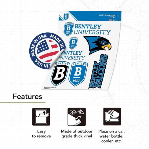 Desert Cactus Bentley University Sticker Falcons Vinyl Decals Laptop Water Bottle Car Scrapbook T2 (Type 2-1) in Saudi Arabia