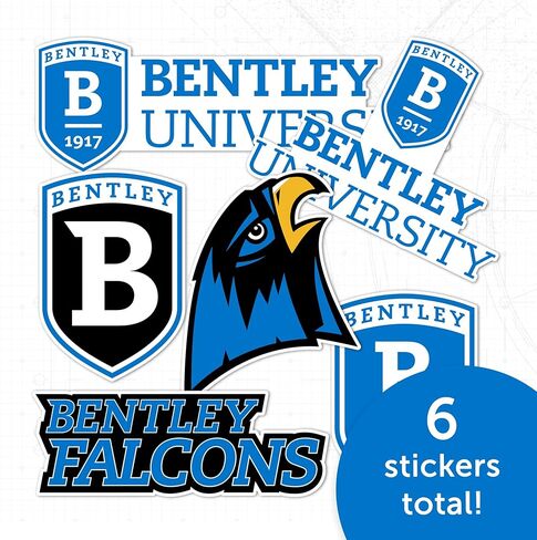 Desert Cactus Bentley University Sticker Falcons Vinyl Decals Laptop Water Bottle Car Scrapbook T2 (Type 2-1) in Saudi Arabia