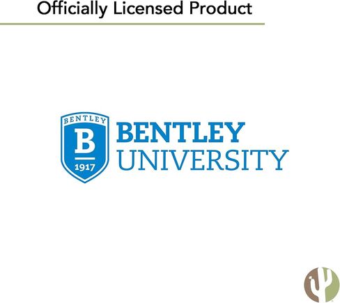 Desert Cactus Bentley University Sticker Falcons Vinyl Decals Laptop Water Bottle Car Scrapbook T2 (Type 2-1) in Saudi Arabia