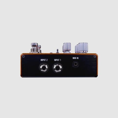 مصدر الصوت SA281 Pathways Reverb ودواسة جيتار Tremolo in Kuwait