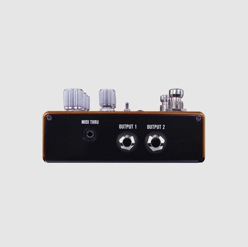 مصدر الصوت SA281 Pathways Reverb ودواسة جيتار Tremolo in Kuwait