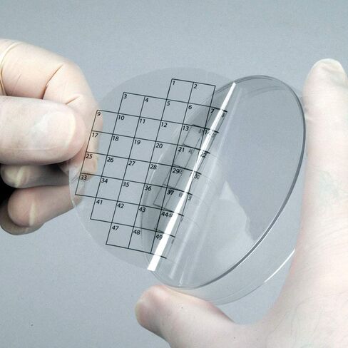 Diversified Biotech PetriStickers PSTK-1050 Square Grid Label for Petri Dish, 50 Square Grid (Pack of 36) in Saudi Arabia