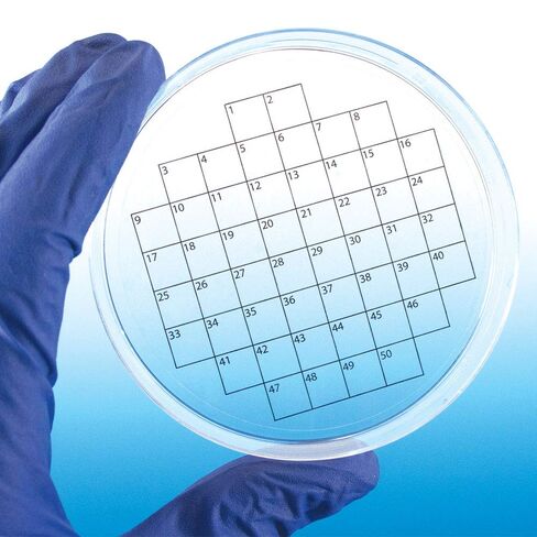 Diversified Biotech PetriStickers PSTK-1050 Square Grid Label for Petri Dish, 50 Square Grid (Pack of 36) in Saudi Arabia