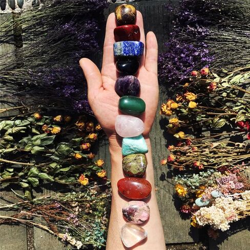 1 رطل مجموعة أحجار كريستالية متنوعة متنوعة من الأحجار الخام الحقيقية لتزيين المنزل هدايا الريكي العلاج بالطاقة للمبتدئين in Kuwait