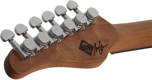 جيتار كهربائي تقليدي من Schecter Nick Johnston HSS - الثلج الذري in Saudi Arabia