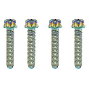 TIBROMTACK M6 Titanium Bolts, Flange Torx Head(4 pcs Pack), T30 Torx Screwdriver, M6X10 15 20 25 30 35 40 45 50, High Strength Lightweight for Motorcycle, Automotive (Natural Titanium,M6X25MM) in Kuwait
