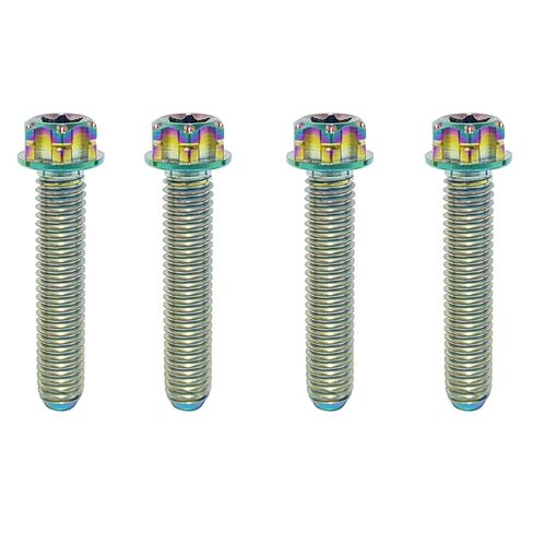 TIBROMTACK M6 Titanium Bolts, Flange Torx Head(4 pcs Pack), T30 Torx Screwdriver, M6X10 15 20 25 30 35 40 45 50, High Strength Lightweight for Motorcycle, Automotive (Natural Titanium,M6X25MM) in Kuwait