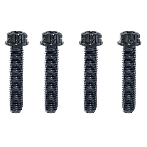TIBROMTACK M6 Titanium Bolts, Flange Torx Head(4 pcs Pack), T30 Torx Screwdriver, M6X10 15 20 25 30 35 40 45 50, High Strength Lightweight for Motorcycle, Automotive (Natural Titanium,M6X25MM) in Saudi Arabia
