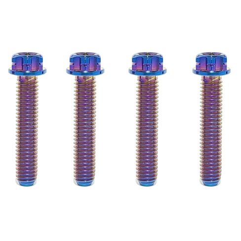 TIBROMTACK M6 Titanium Bolts, Flange Torx Head(4 pcs Pack), T30 Torx Screwdriver, M6X10 15 20 25 30 35 40 45 50, High Strength Lightweight for Motorcycle, Automotive (Natural Titanium,M6X25MM) in Saudi Arabia