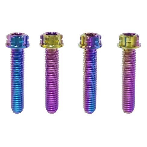 TIBROMTACK M6 Titanium Bolts, Flange Torx Head(4 pcs Pack), T30 Torx Screwdriver, M6X10 15 20 25 30 35 40 45 50, High Strength Lightweight for Motorcycle, Automotive (Natural Titanium,M6X25MM) in Saudi Arabia