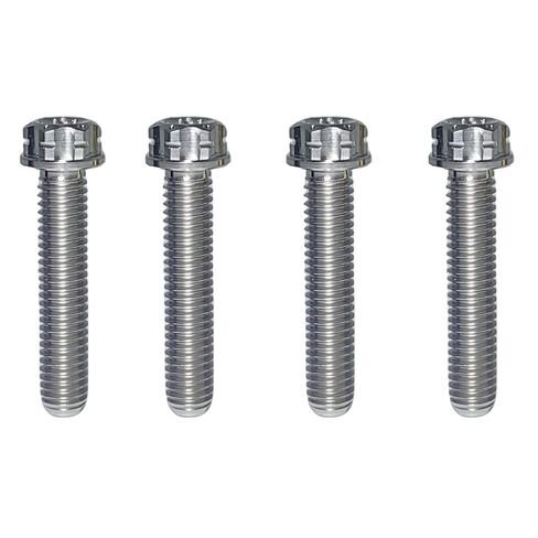 TIBROMTACK M6 Titanium Bolts, Flange Torx Head(4 pcs Pack), T30 Torx Screwdriver, M6X10 15 20 25 30 35 40 45 50, High Strength Lightweight for Motorcycle, Automotive (Natural Titanium,M6X25MM) in Saudi Arabia