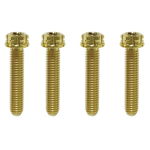 TIBROMTACK M6 Titanium Bolts, Flange Torx Head(4 pcs Pack), T30 Torx Screwdriver, M6X10 15 20 25 30 35 40 45 50, High Strength Lightweight for Motorcycle, Automotive (Natural Titanium,M6X25MM) in Saudi Arabia