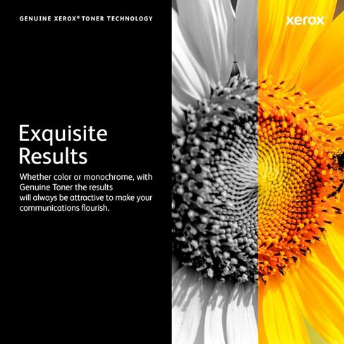 زيروكس 006r04377 حبر عالي الإنتاجية، 8000 صفحة، أسود in Kuwait