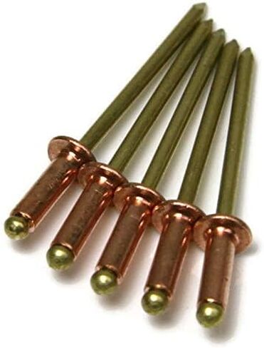 Copper Pop Rivets 1/8 Diameter Brass Mandrel Blind Rivets Dome Head 4-4 (1/8" Diameter x 1/4" Grip) Qty 100 in Saudi Arabia