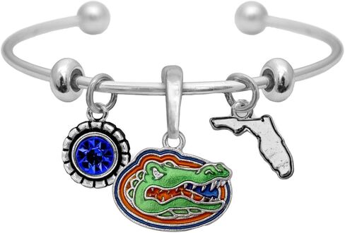 متجر إكسسوارات رياضية فلوريدا غاتورز هوم سويت هوم فضة كريستال الكفة سوار مجوهرات UF in Kuwait