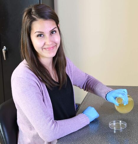 هاردي التشخيص C6621 معيار البطاطس دكستروز آجار الثقافة المجففة in Kuwait