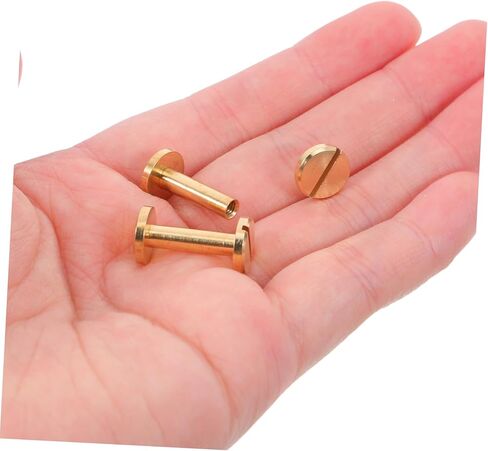 TEHAUX 10pcs Brass Flat Head Rivet Studs for Projects Secure Fastening Chicago Screws for Belts Handbags DIY Crafting User Friendly Installation in Saudi Arabia