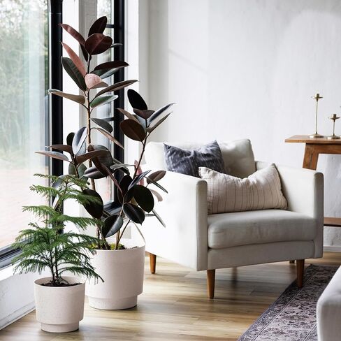 Bloem Harlow 14" Vanilla Bean Round Planter Pot Indoor or Outdoor Gardening, Made in USA in Kuwait