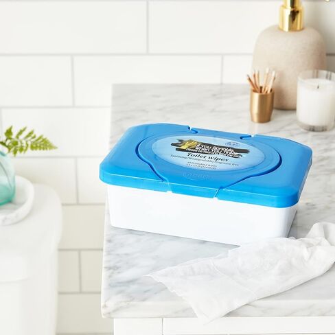 Wipe Dispenser & Toilet Wipes – 60 Count, Multipurpose Flushable Wipes, Aloe Extract, Unscented, Easy-to-Use with Pop Up Dispenser, Septic Safe, Perfect for Potty Training & Bathroom Hygiene in Kuwait