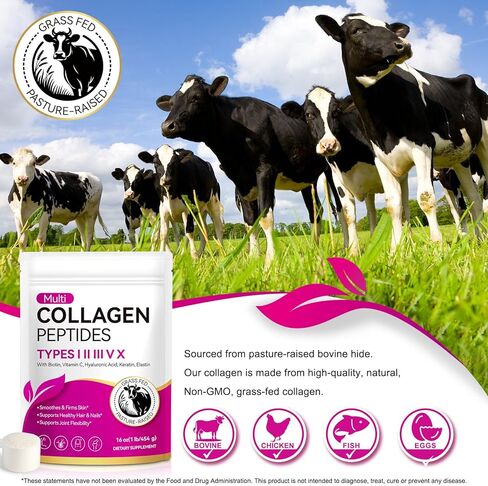 Multi Collagen Peptides Powder, 1lb – Types I, II, III, V, X | Hydrolyzed Collagen with Biotin, Vitamin C, Hyaluronic Acid, Keratin & Elastin | Supports Skin Hair Nail & Joint, Grass-Fed in Kuwait