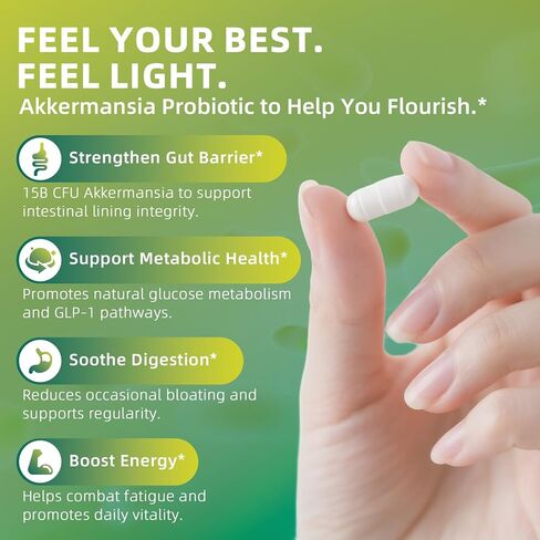 GREENPEOPLE Akkermansia Probiotics 15B CFU لوظيفة الأمعاء، 60 قيراط مكمل بروبيوتيك مع قرفة سيلان والكركم | دعم صحة الجهاز الهضمي والتمثيل الغذائي | المرأة والرجل | نباتي وخالي من الغلوتين in Kuwait