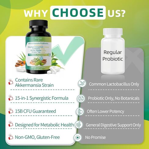 GREENPEOPLE Akkermansia Probiotics 15B CFU لوظيفة الأمعاء، 60 قيراط مكمل بروبيوتيك مع قرفة سيلان والكركم | دعم صحة الجهاز الهضمي والتمثيل الغذائي | المرأة والرجل | نباتي وخالي من الغلوتين in Kuwait