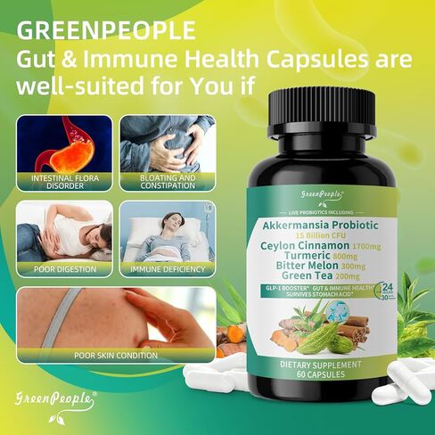 GREENPEOPLE Akkermansia Probiotics 15B CFU لوظيفة الأمعاء، 60 قيراط مكمل بروبيوتيك مع قرفة سيلان والكركم | دعم صحة الجهاز الهضمي والتمثيل الغذائي | المرأة والرجل | نباتي وخالي من الغلوتين in Kuwait
