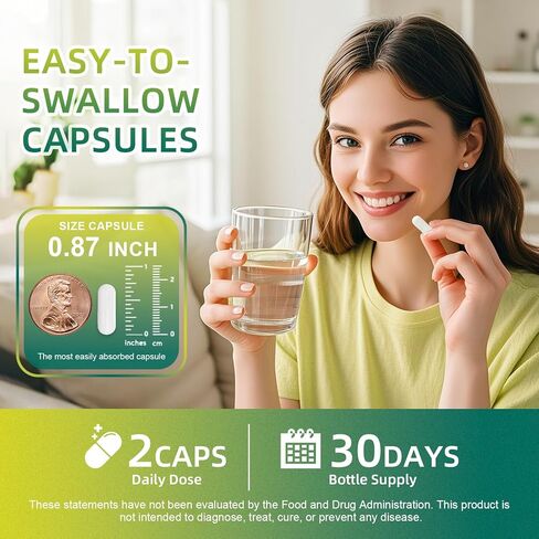 GREENPEOPLE Akkermansia Probiotics 15B CFU لوظيفة الأمعاء، 60 قيراط مكمل بروبيوتيك مع قرفة سيلان والكركم | دعم صحة الجهاز الهضمي والتمثيل الغذائي | المرأة والرجل | نباتي وخالي من الغلوتين in Kuwait