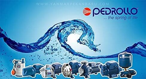 Pedrollo PERIPHERAL BOOSTER WATER PUMP PKm60 220V60HZ 0.5HP 1 inch x 1 inch NPT (PKm60220) in Saudi Arabia