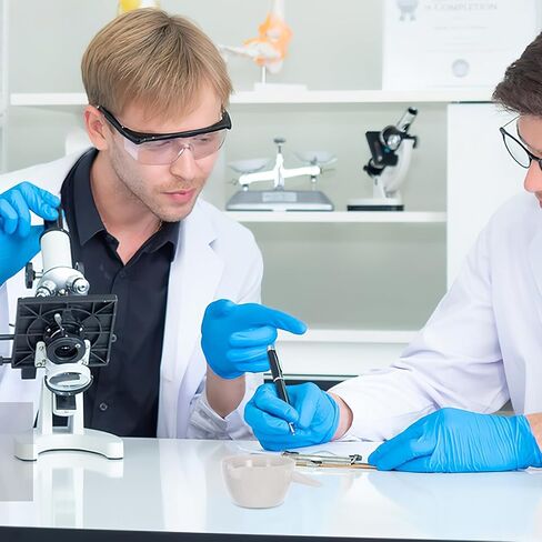جارنيك 2 قطعة طبق تبخير من البورسلين المقاوم للحرارة مع مقبض حاوية مختبر مستديرة لتبخر المذيبات وتركيزه in Saudi Arabia