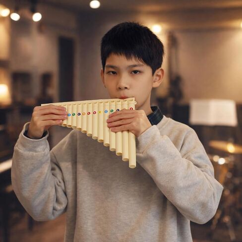 أنابيب رايزم، 18 فلوت للمبتدئين، فلوت تينور من بلاستيك أكريلونتريل بوتادين ستايرين لليد اليمنى مع أنبوبين قابلين للإزالة، نغمة ساطعة، آلة موسيقية محمولة ومتينة in Kuwait