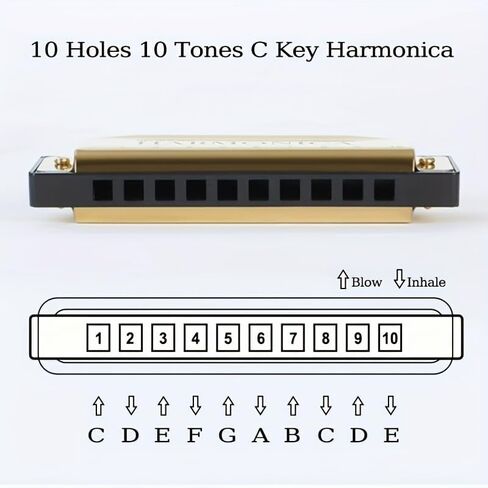 10-Hole C Key Beginner Harmonica Set with Case, Cleaning Cloth & Manual, Professional Blues Harmonica Mouth Organ for Adults & Kids, Portable Musical Instrument Gift (Black [Free Box + Instructions]) in Saudi Arabia
