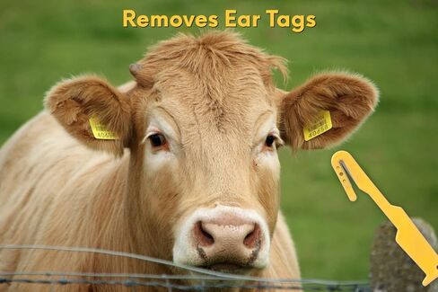 مزيل علامات الأذن الاحترافي للماشية من LBH MARKET - قاطع متعدد الاستخدامات لعلامات الأذن وخيوط القش والضمادات in Kuwait