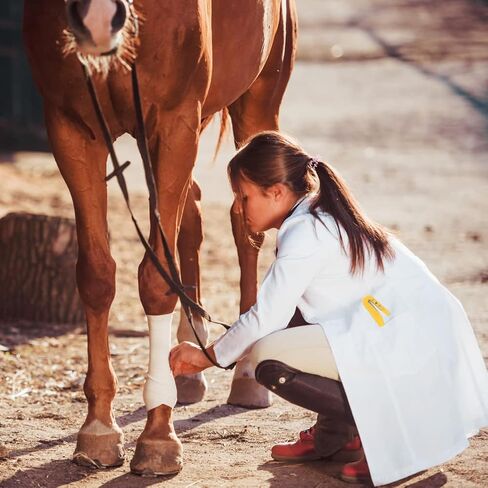 مزيل علامات الأذن الاحترافي للماشية من LBH MARKET - قاطع متعدد الاستخدامات لعلامات الأذن وخيوط القش والضمادات in Kuwait