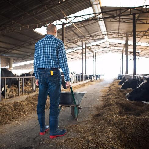 مزيل علامات الأذن الاحترافي للماشية من LBH MARKET - قاطع متعدد الاستخدامات لعلامات الأذن وخيوط القش والضمادات in Kuwait