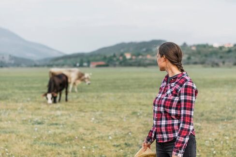 مزيل علامات الأذن الاحترافي للماشية من LBH MARKET - قاطع متعدد الاستخدامات لعلامات الأذن وخيوط القش والضمادات in Kuwait