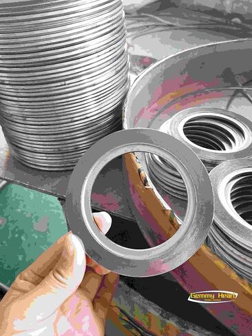 حشية جرح حلزونية من GemmySeal مع حلقة داخلية SUS316، مملوءة بالجرافيت، 5 قطع 3/4 بوصة DN20 in Kuwait