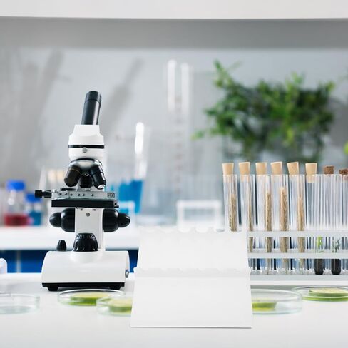 Cabilock Plastic Pipette Rack Stand 6-Hole Linear Micropipette Holder Organizer Laboratory Pipettor Rack Scientific Lab Storage for Lab Bench in Saudi Arabia
