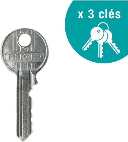 THIRARD 381716 Adriatic Double Cylinder Door Lock with Pins 45 mm-Various Security Protectors-4 Keys and Property Card-Made in France-Gold Finish, Silver in Kuwait