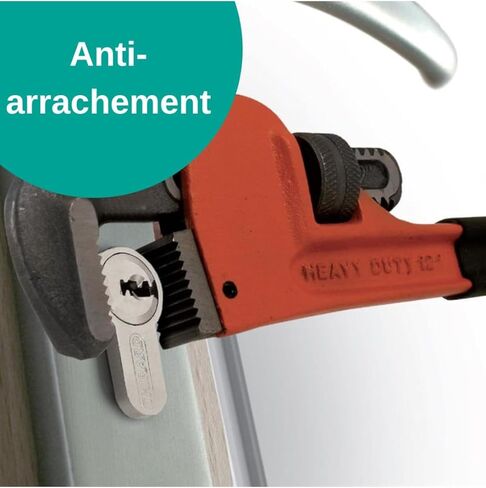 THIRARD 381716 Adriatic Double Cylinder Door Lock with Pins 45 mm-Various Security Protectors-4 Keys and Property Card-Made in France-Gold Finish, Silver in Kuwait