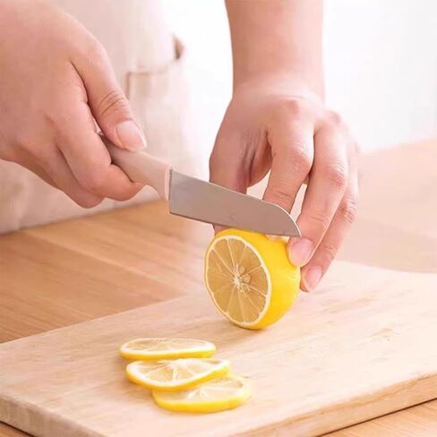 10-Set Super Value Paring Knife Set - 10 Ultra-Sharp German Steel Fruit & Vegetable Knives with 10 Sheaths, PP Plastic Ergonomic Handle, Dishwasher Safe, Multi-Color Small Kitchen Peeling Knives. in Kuwait