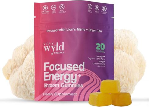Stay Wyld Organics, Focused Energy+ Mushroom Gummies, 20 Servings, with Lion's Mane & Green Tea - Clean Energy Mushroom Supplement, Mental Focus Gummies, Lions Mane Supplement, Low Sugar & Gluten-Free in Saudi Arabia