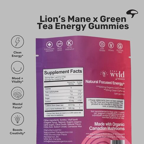 Stay Wyld Organics, Focused Energy+ Mushroom Gummies, 20 Servings, with Lion's Mane & Green Tea - Clean Energy Mushroom Supplement, Mental Focus Gummies, Lions Mane Supplement, Low Sugar & Gluten-Free in Saudi Arabia