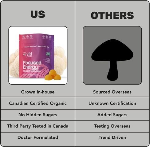 Stay Wyld Organics, Focused Energy+ Mushroom Gummies, 20 Servings, with Lion's Mane & Green Tea - Clean Energy Mushroom Supplement, Mental Focus Gummies, Lions Mane Supplement, Low Sugar & Gluten-Free in Saudi Arabia