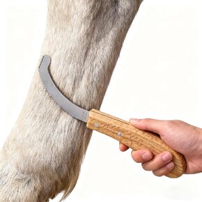 سكين بيض البوت للخيول، شفرة من الفولاذ المقاوم للصدأ مع مقبض خشبي، أداة العناية بخيوط الخيول، تهذيب دقيق لإزالة بيض البوت in Kuwait