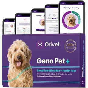 طقم اختبار الحمض النووي للكلاب من ORIVET GenoPet Plus - معرف السلالة والصحة الوراثية + فحص السمات | 280+ سمات | أصل الكلاب | جينوبت + خطة الحياة | مسحة في المنزل | تظهر النتائج خلال 21-25 يومًا بعد التنشيط in Kuwait