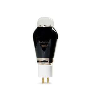 Vacuum Tube 300B-Z 300BZ HiFi Audio Tube(2 pcs) in Saudi Arabia