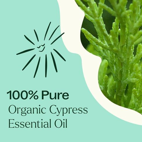 زيت السرو العطري العضوي من بلانت ثيرابي 10 مل (1/3 أونصة)، نقي 100%، غير مخفف، علاج عطري طبيعي لتخفيف الاحتقان وتنظيف البشرة in Saudi Arabia